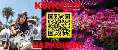 дистиллят марихуана Кингисепп