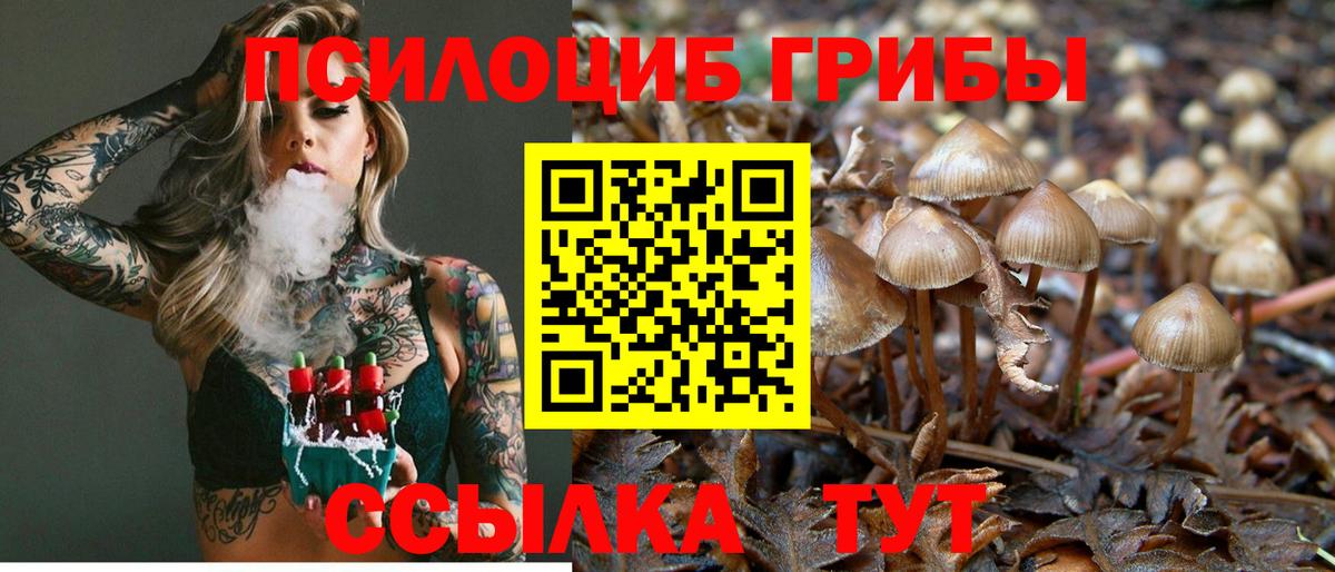 Галлюциногенные грибы прущие грибы Кстово