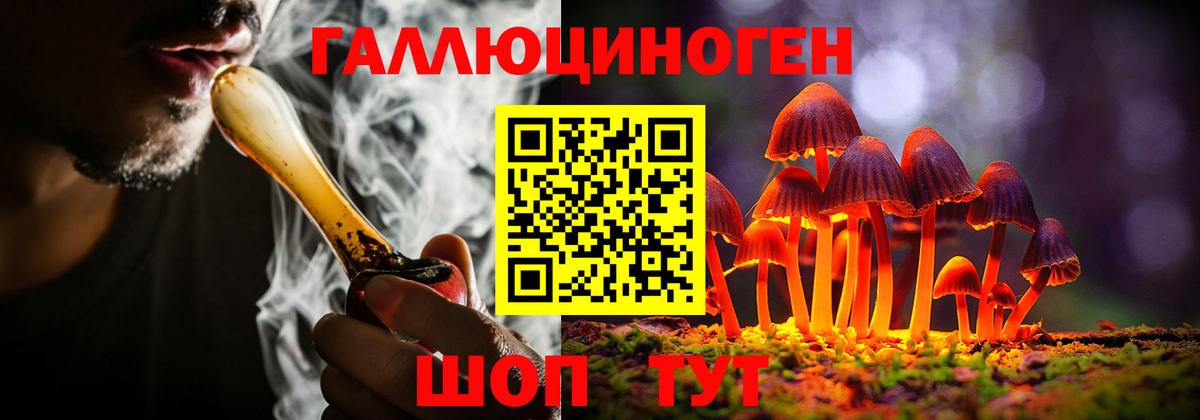 наркота  Псилоцибиновые грибы Magic Shrooms  Псилоцибиновые грибы Cubensis  Вход с VPN  Кстово 